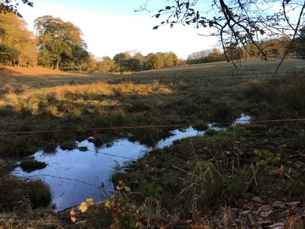 Vaste prairie